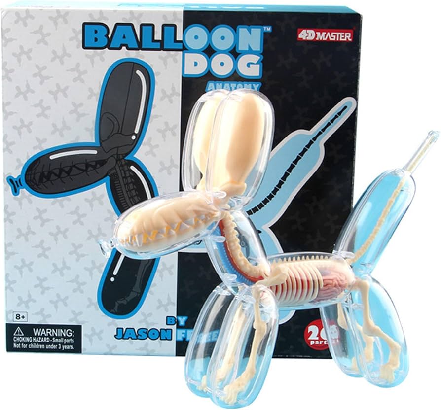 4DMASTER Balloon Dog Anatomy バルーンドッグ Amazon.com: Balloon Dog Bone Perspective Anatomical Model